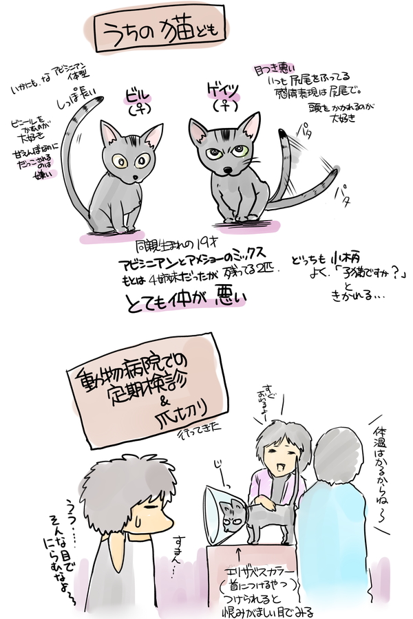 9/3-9/9の絵日記